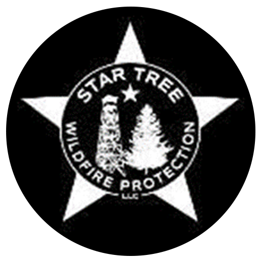 star tree logo